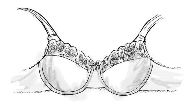 Different Parts of a Bra  Anatomy of a Bra - Textile Learner