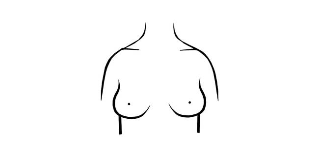 H Cup Breasts East West Shape