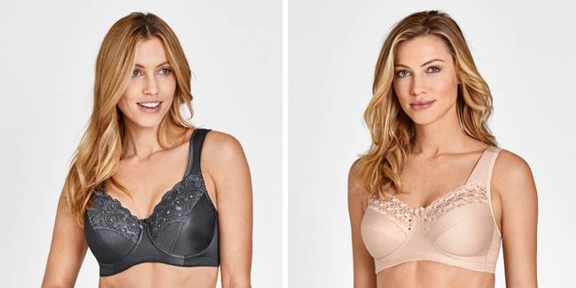 Need to Know About Parts of Plunge Bra