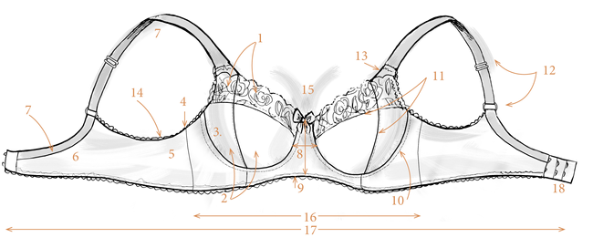 Bra Anatomy: Everything You Need To Know About Your Bra