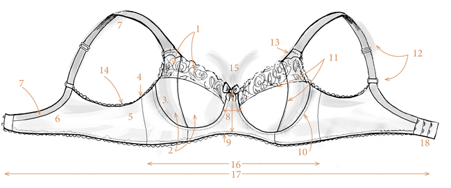 Bra anatomy and all its parts