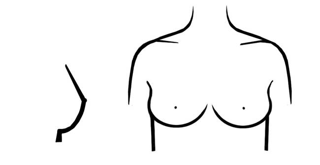 AVON Brassiers - Which of these breast types do you have? Shallow