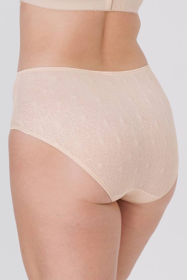 Invisible Lace midi briefs